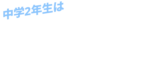 中学2年生はタイパよく定期テスト対策