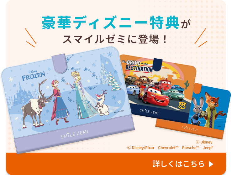 ディズニーデザインクリスマスパッケージでお届け！