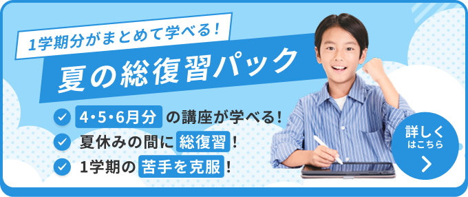 期間限定！オプション講座 夏の総復習パック