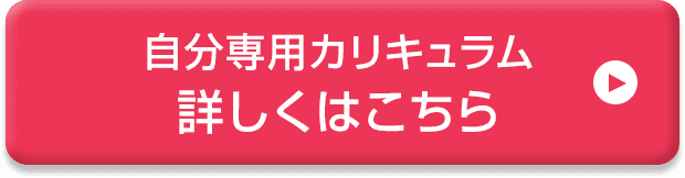 自分専用カリキュラム 詳しくはこちら