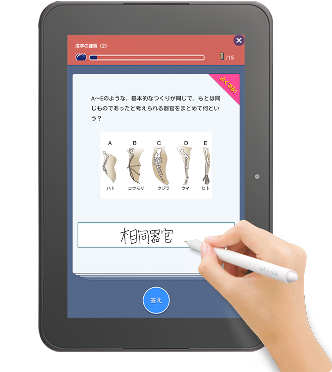 合格者インタビュー｜タブレットで学ぶ中学生向け通信教育「スマイルゼミ」