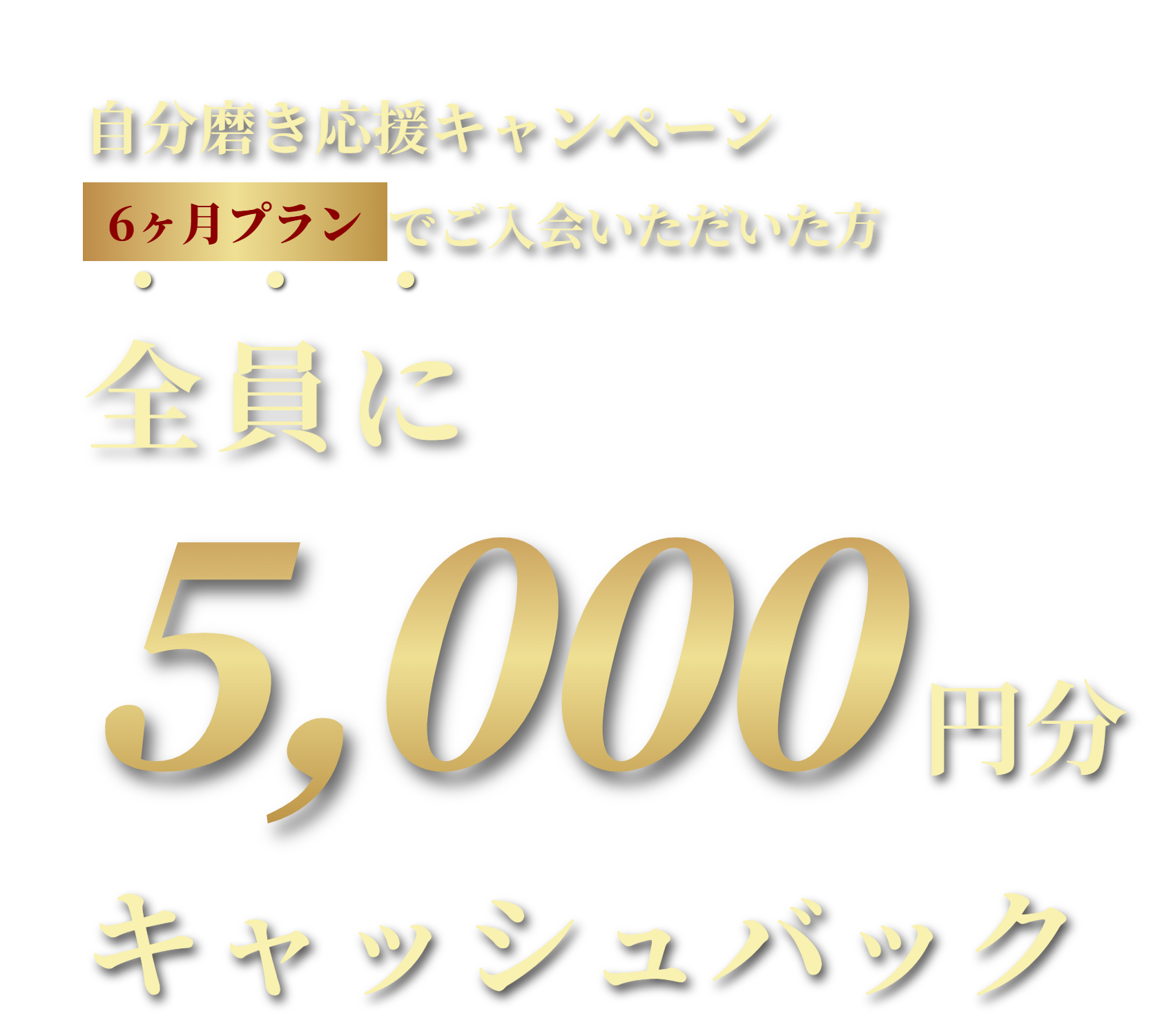 6ヶ月プランでご入会いただいた方全員に5,000円分キャッシュバック