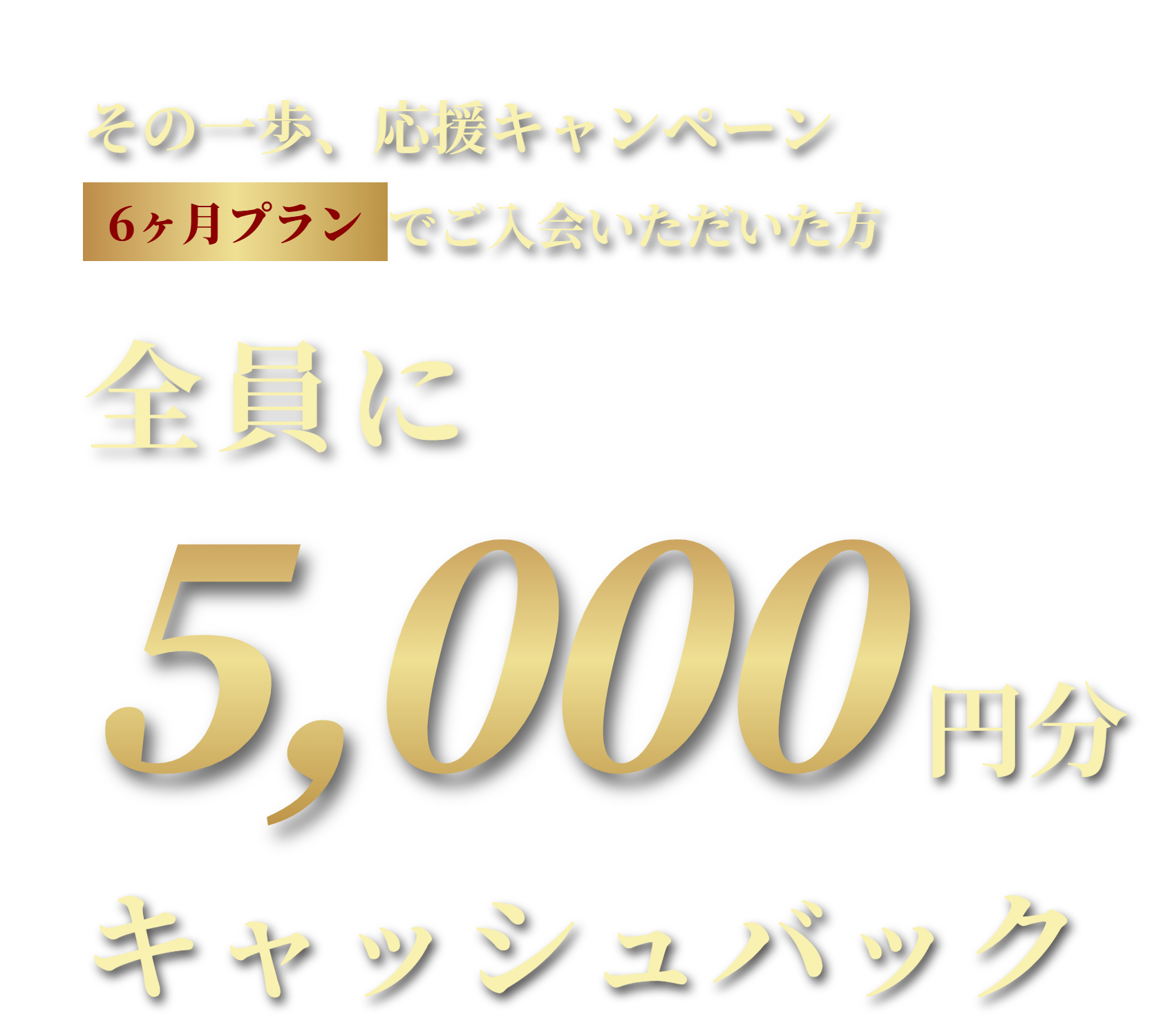 6ヶ月プランでご入会いただいた方全員に5,000円分キャッシュバック