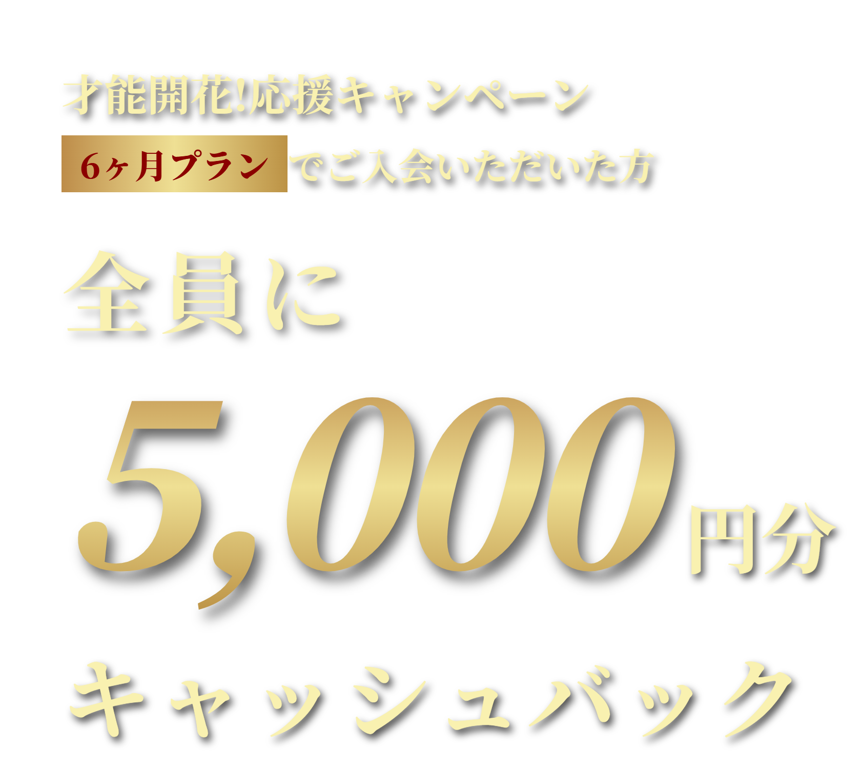 6ヶ月プランでご入会いただいた方全員に5,000円分キャッシュバック