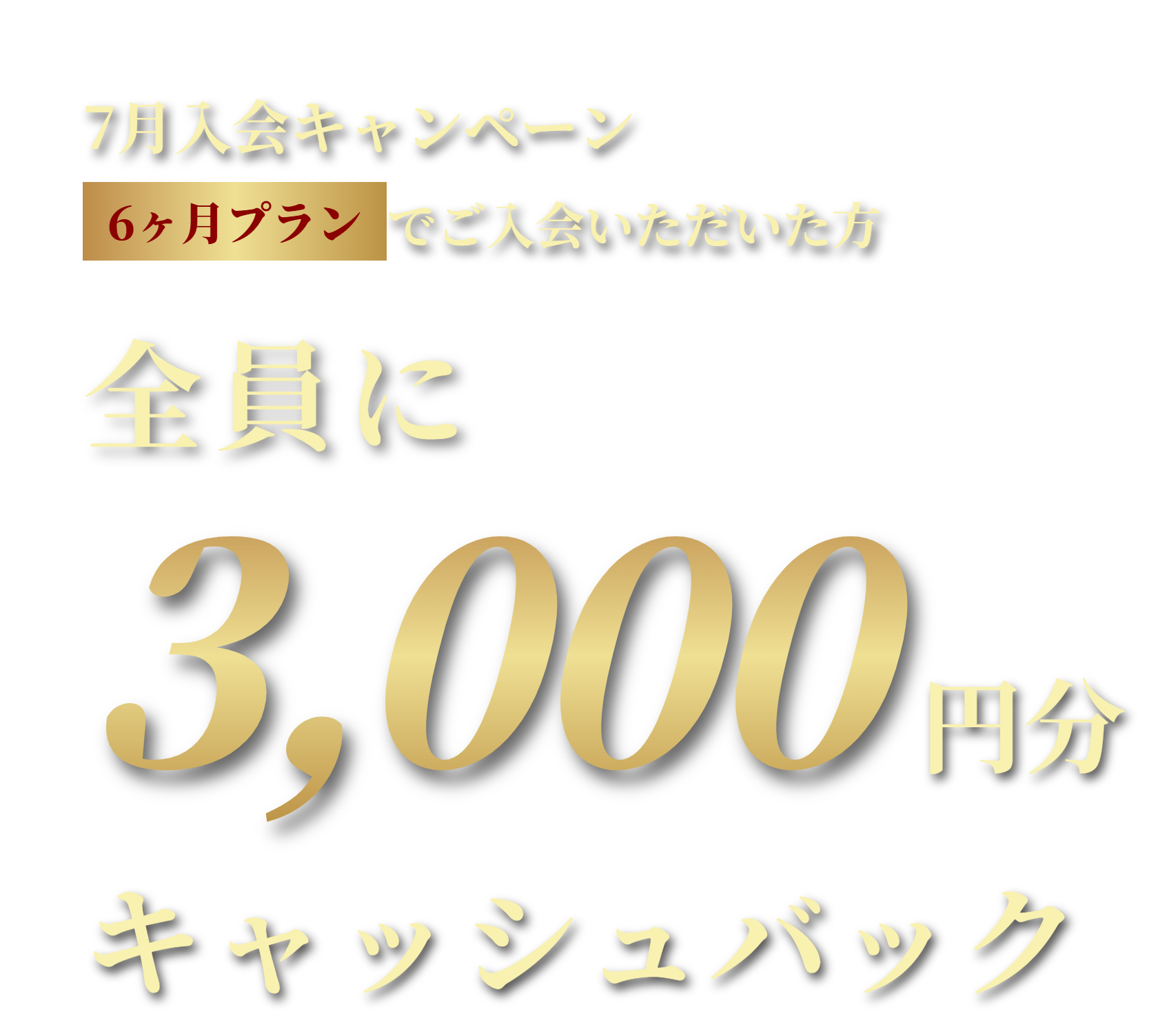 6ヶ月プランでご入会いただいた方全員に3,000円分キャッシュバック