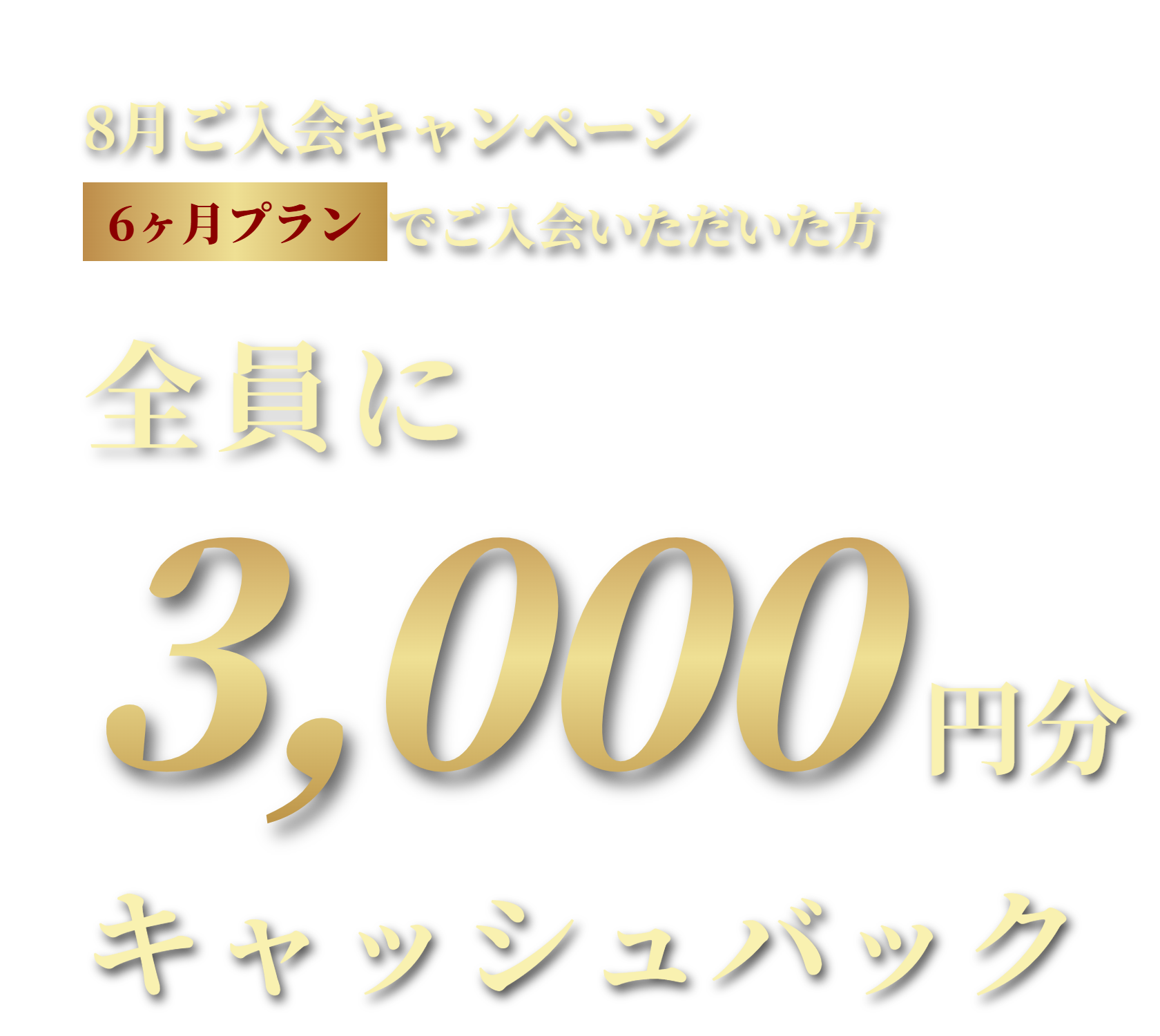 6ヶ月プランでご入会いただいた方全員に3,000円分キャッシュバック