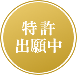 特許出願中