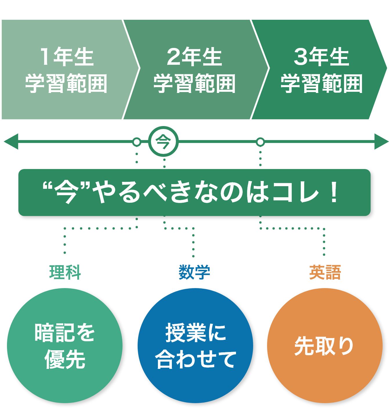 高校生活×スマイルゼミ｜タブレットで学ぶ高校生向け通信教育「スマイルゼミ」