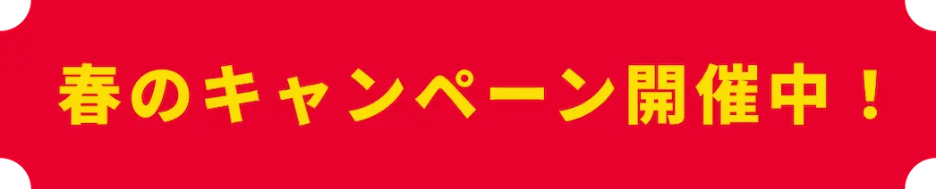 春のキャンペーン開催中！