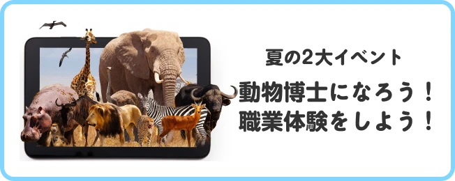 夏の2大イベント動物博士になろう！職業体験をしよう！