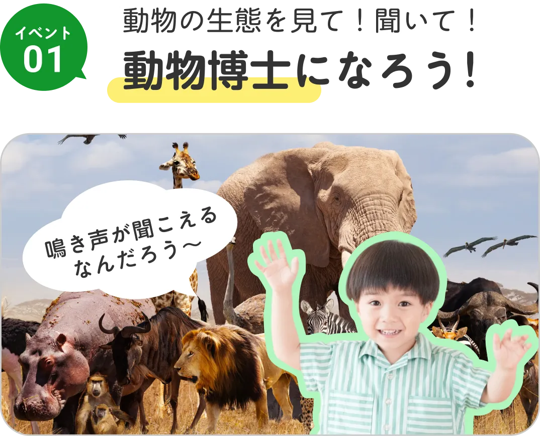 動物の生態を見て！聞いて！動物博士になろう！