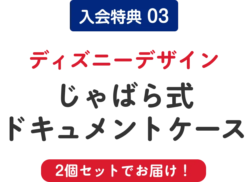 入会特典 03 ディズニーデザインじゃばら式ドキュメントケース 2個セットでお届け！
