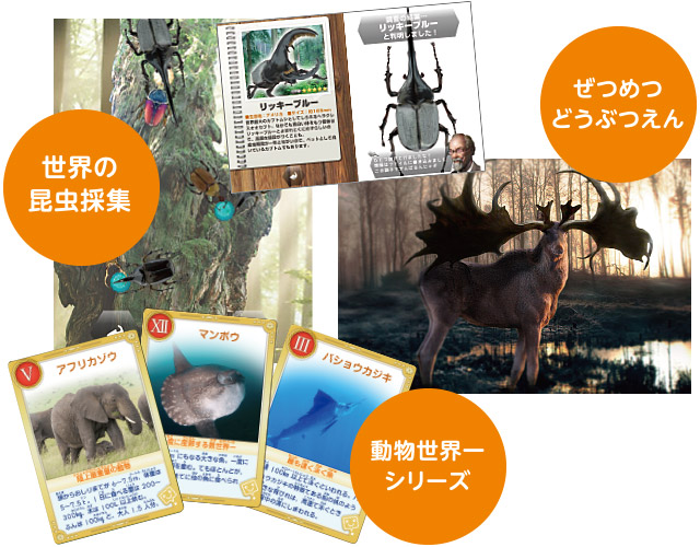 夏限定アプリ&コレクションカード 画像